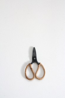 craft scissor - small