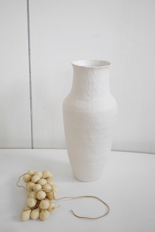 coral polyp vase series