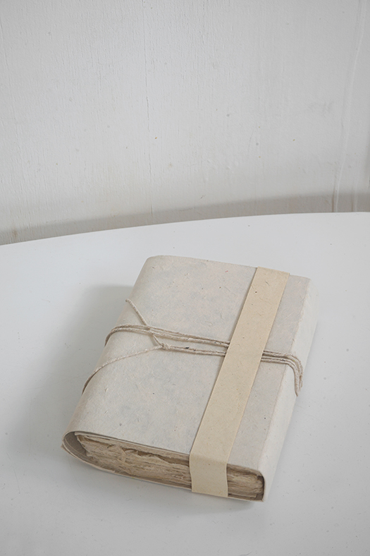 wildcrafted travel book