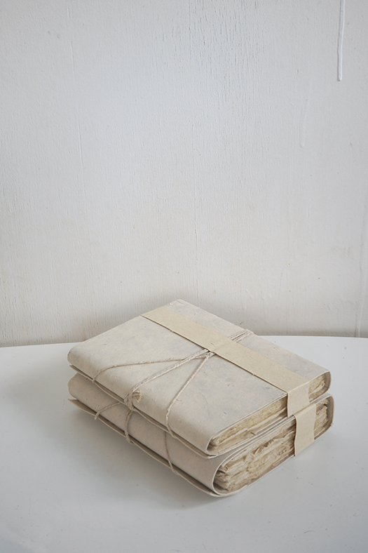 wildcrafted travel book
