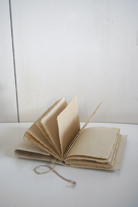 wildcrafted travel book