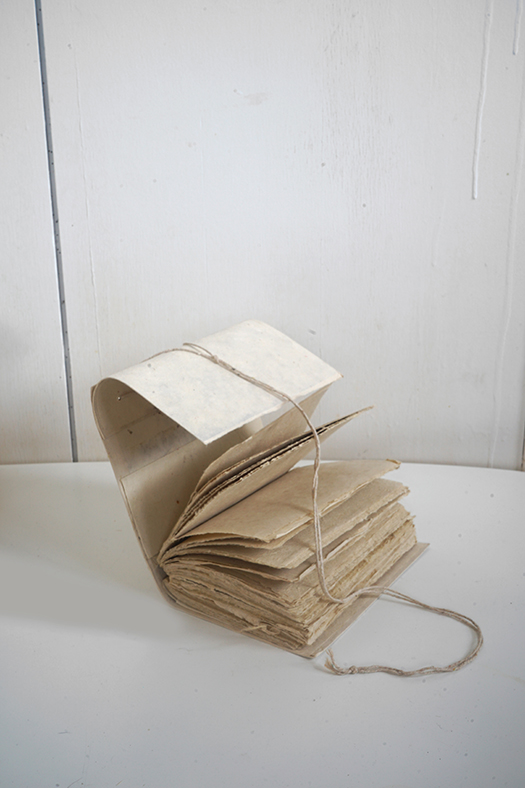 wildcrafted travel book