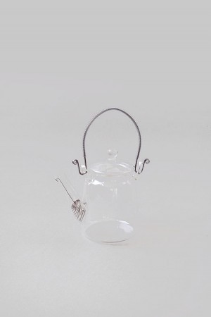 glass teapot - medium