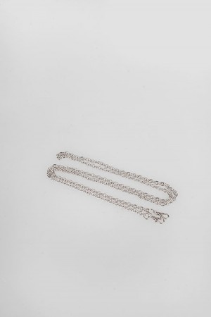 chain type 2