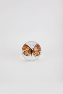 paperweight - butterfly