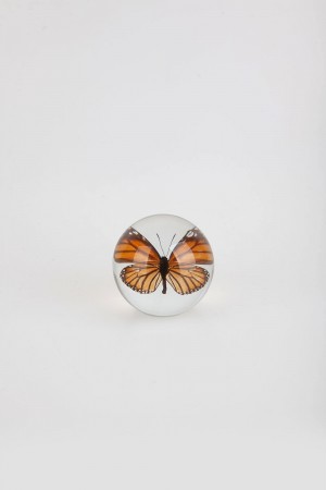 paperweight - butterfly