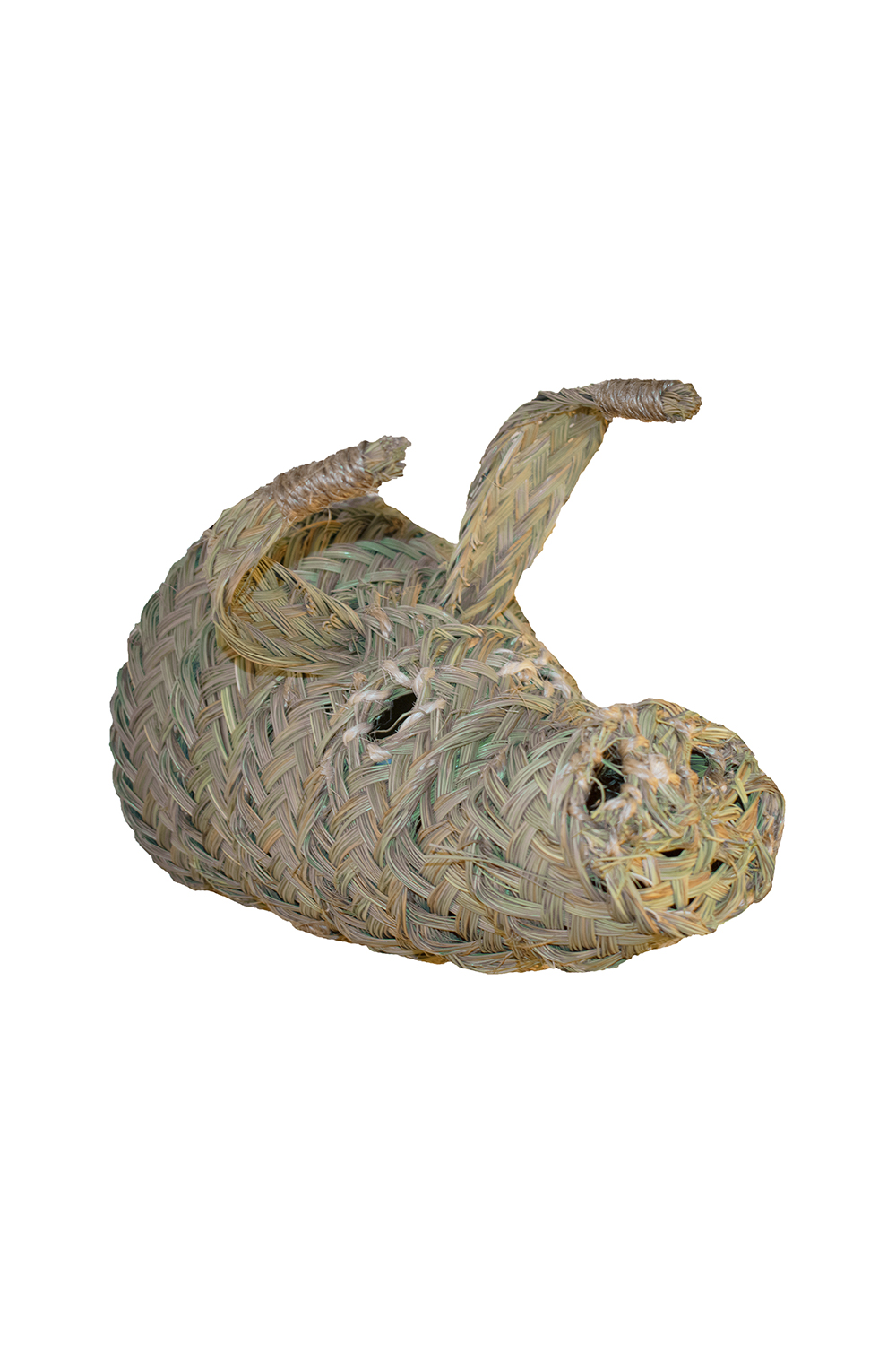 animal wall decoration - pig 