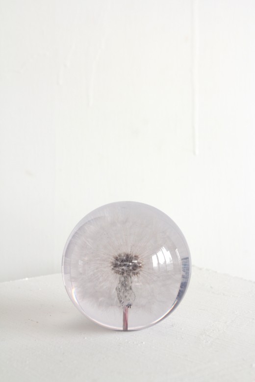 paper weight - dandelion - big