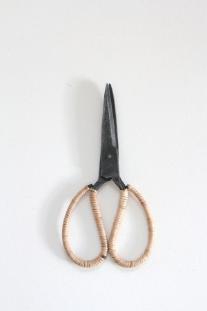craft scissor - big