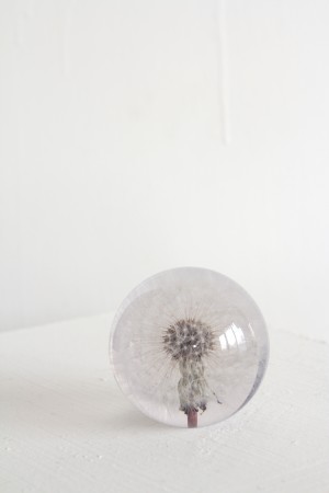 paper weight - dandelion - small