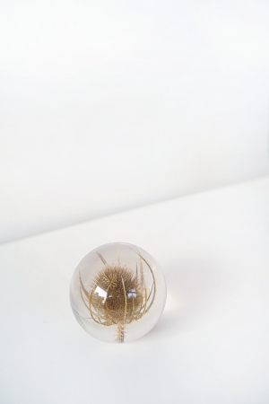 paper weight - teasel - small