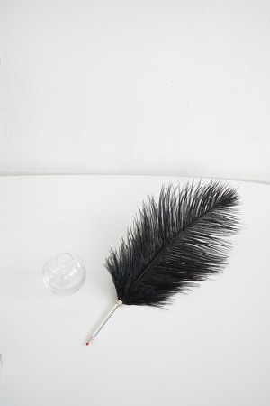 ostrich feather pen