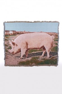 cotton blanket - pig