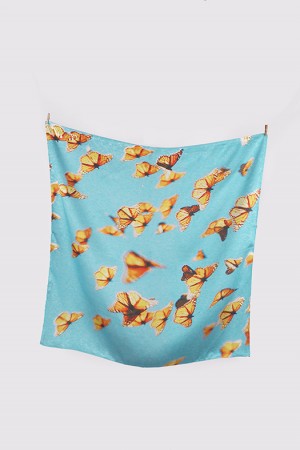scarf - butterfly