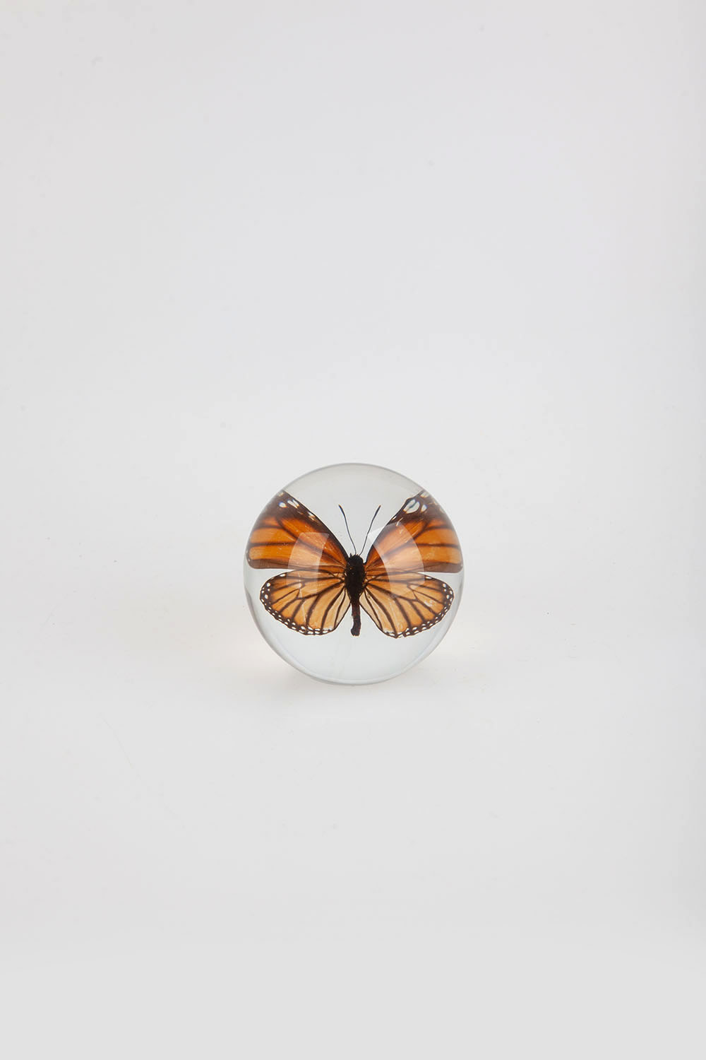 paperweight - butterfly