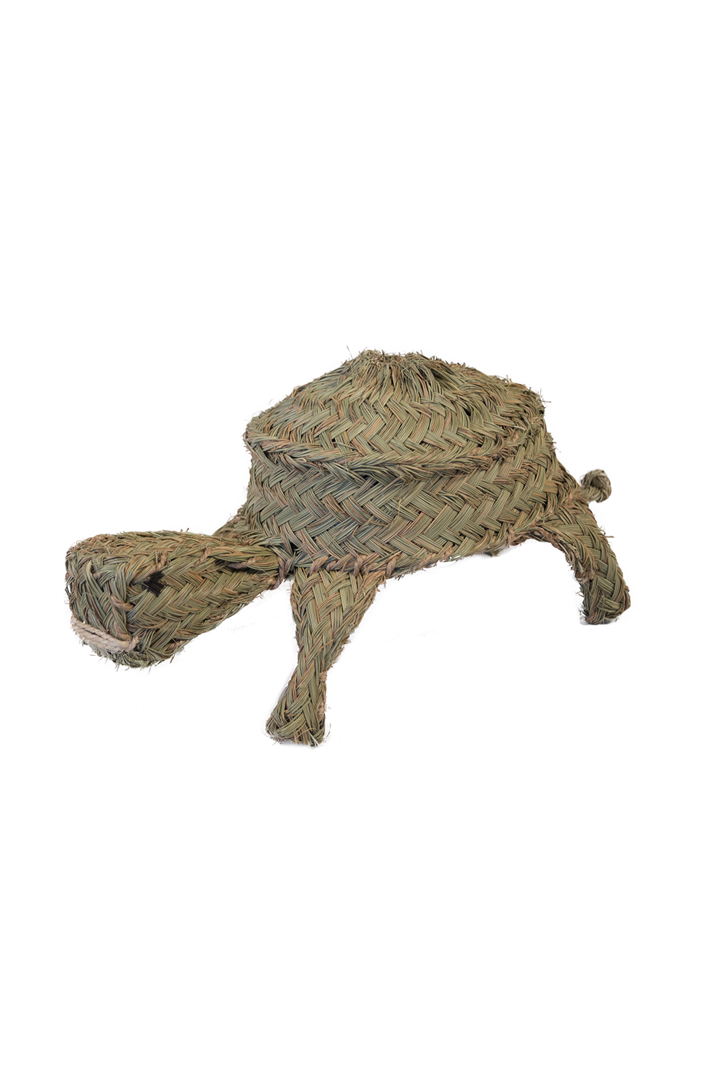 animal wall decoration - turtle 
