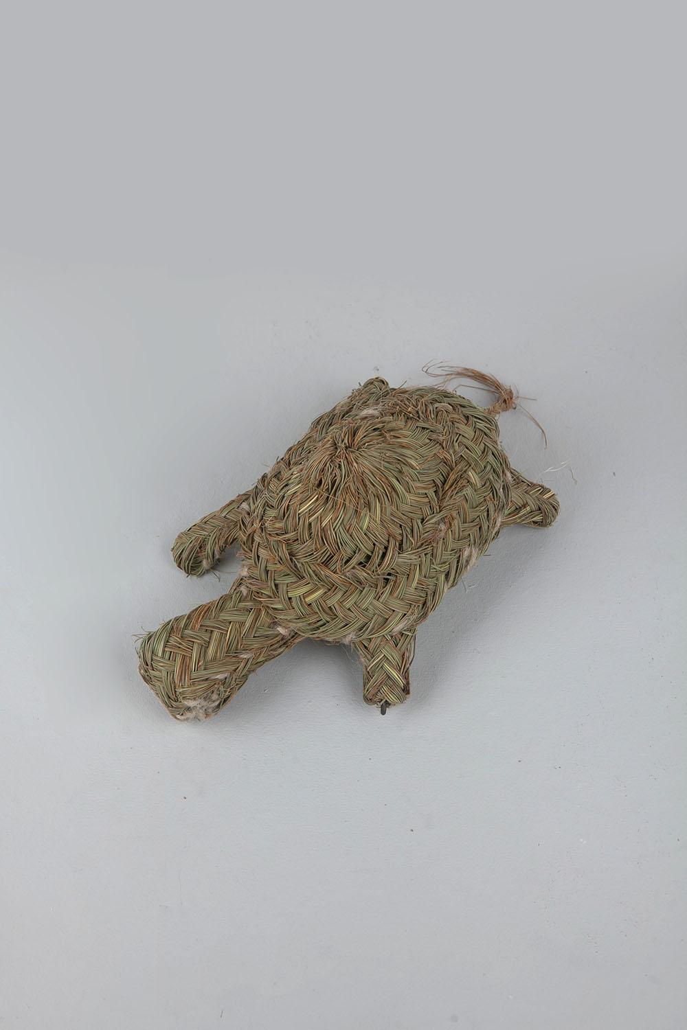 animal wall decoration - turtle