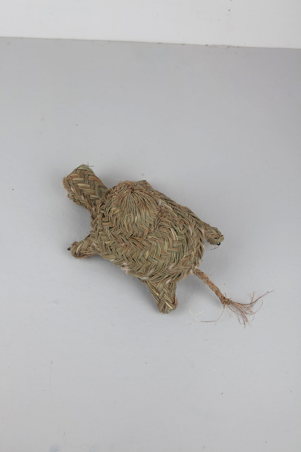 animal wall decoration - turtle