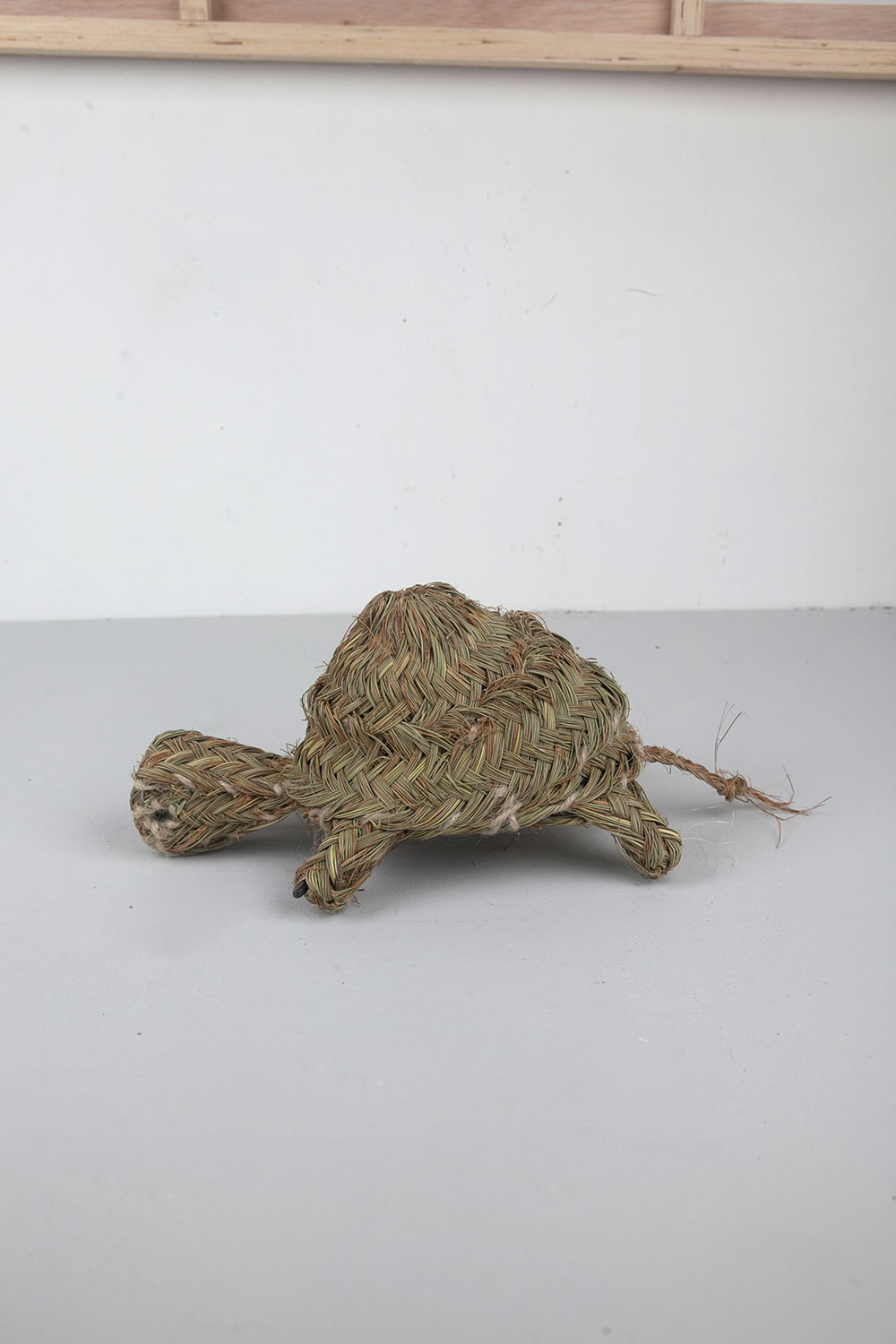 animal wall decoration - turtle