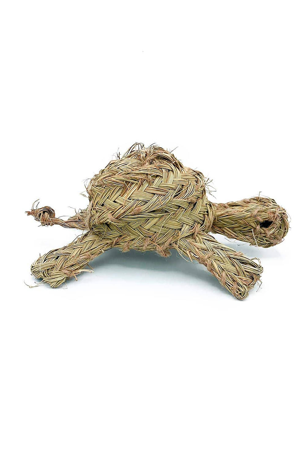 animal wall decoration - turtle 